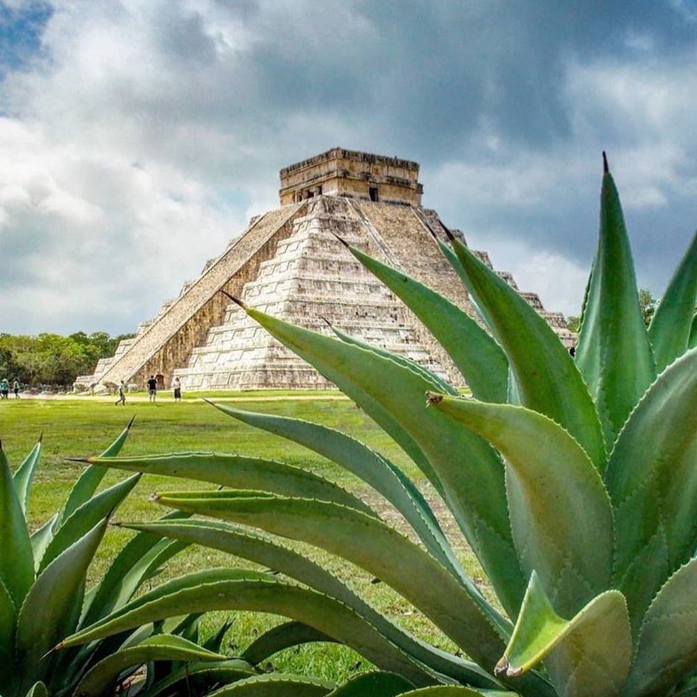 Meet your Posher, Flor